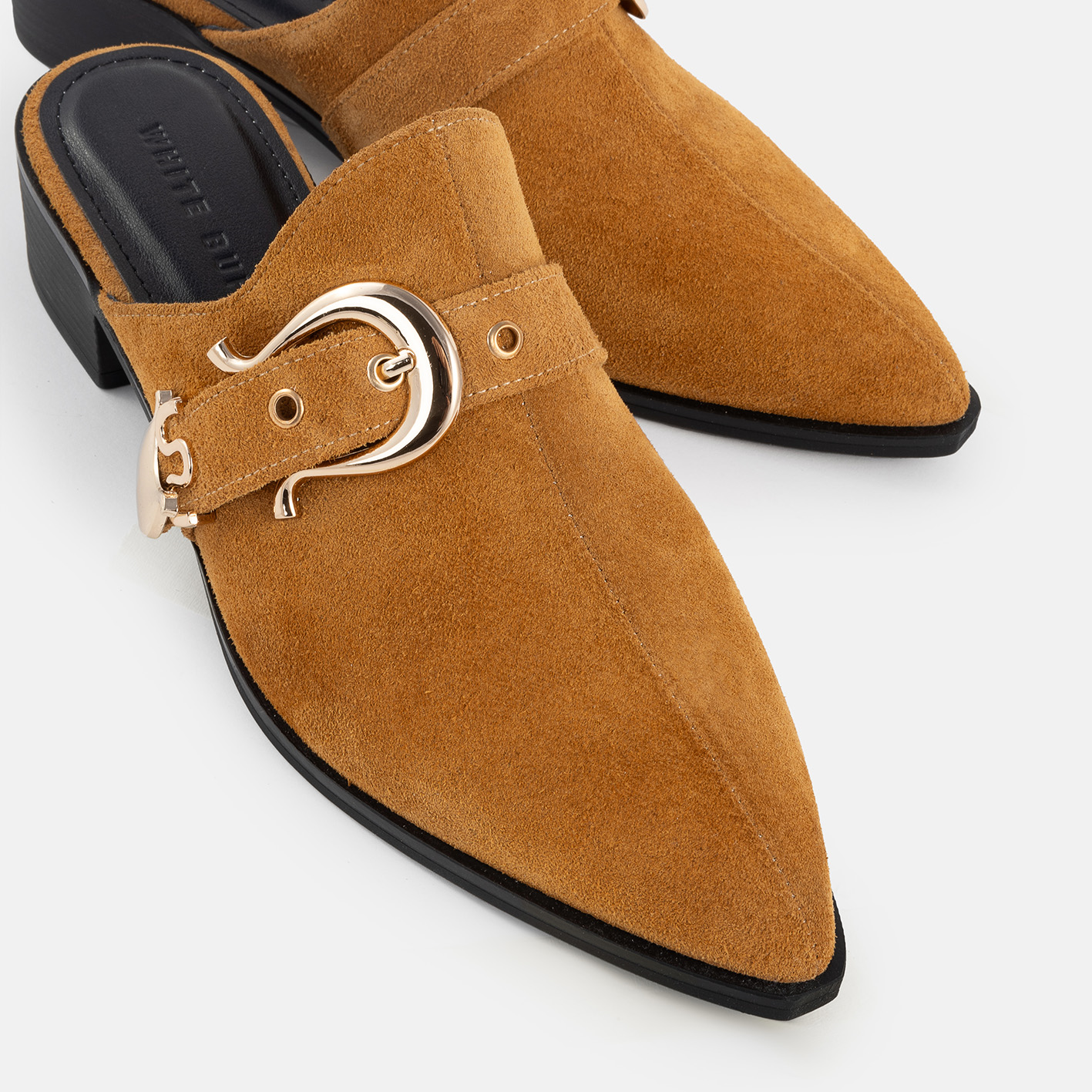 3147169 - تصویر 3